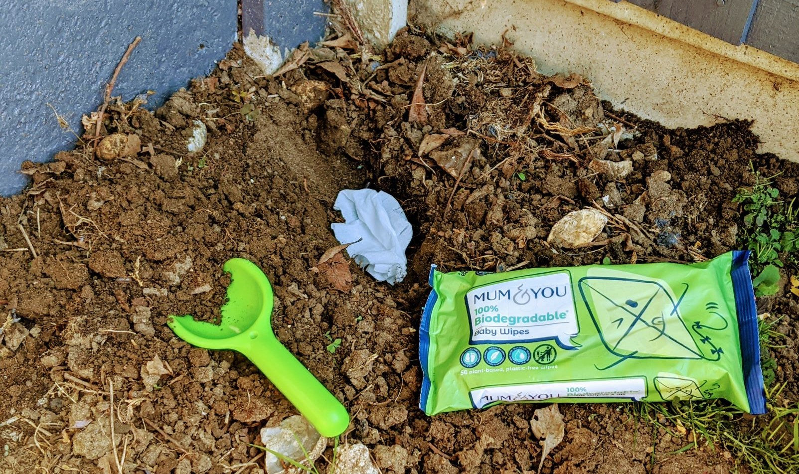 3 easy gardening activities with kids