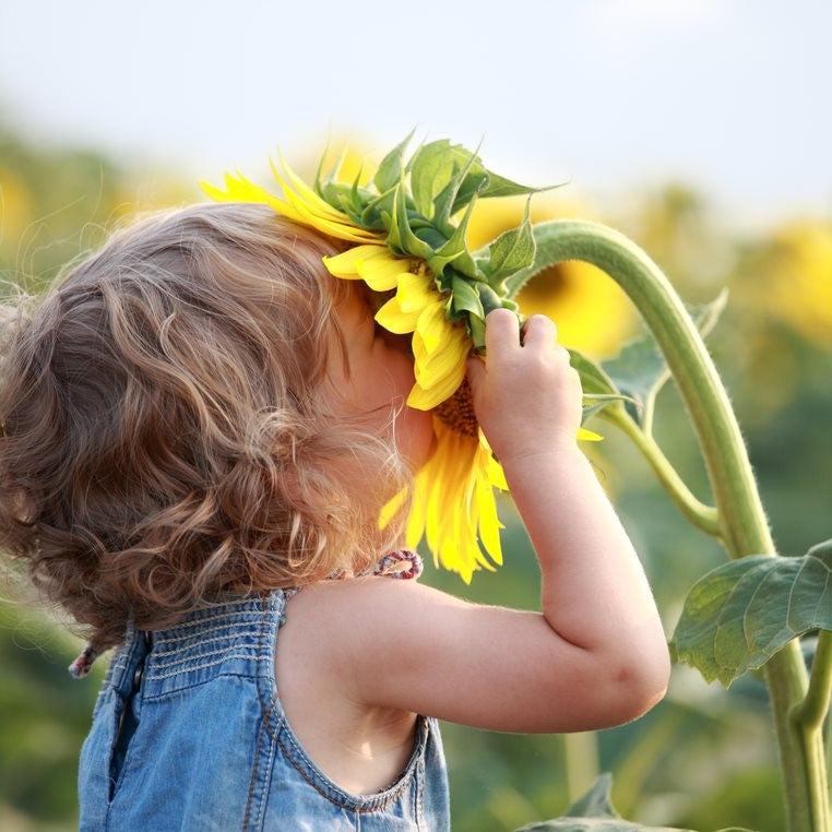 How to garden with toddlers