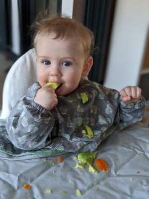 6 vegetarian recipes for babies and toddlers